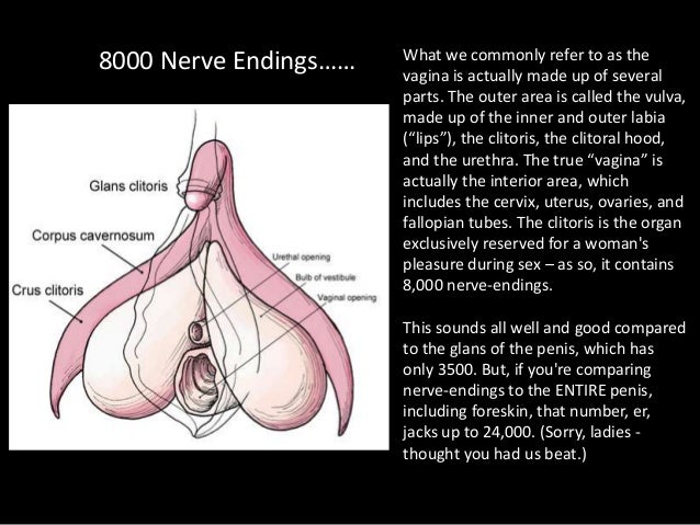 facts on the vagina Oral sex tips blowjob